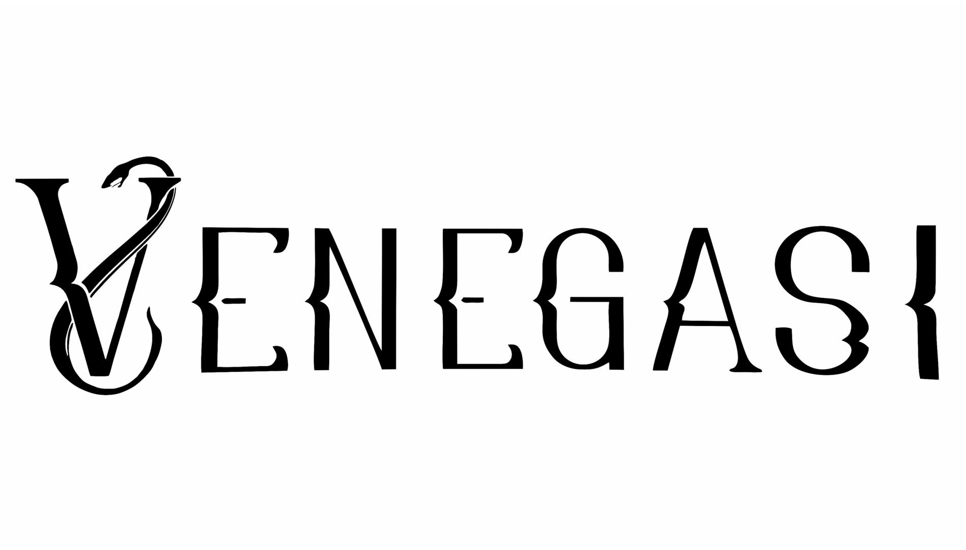 venegasi-VENEGASI.jpg